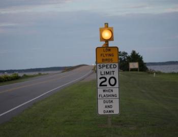 Top speed 20mph to save the purple martins. Top speed 20mph to save the purple martins.