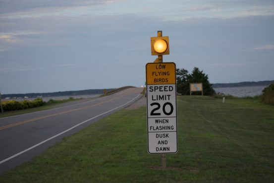 Top speed 20mph to save the purple martins. Top speed 20mph to save the purple martins.